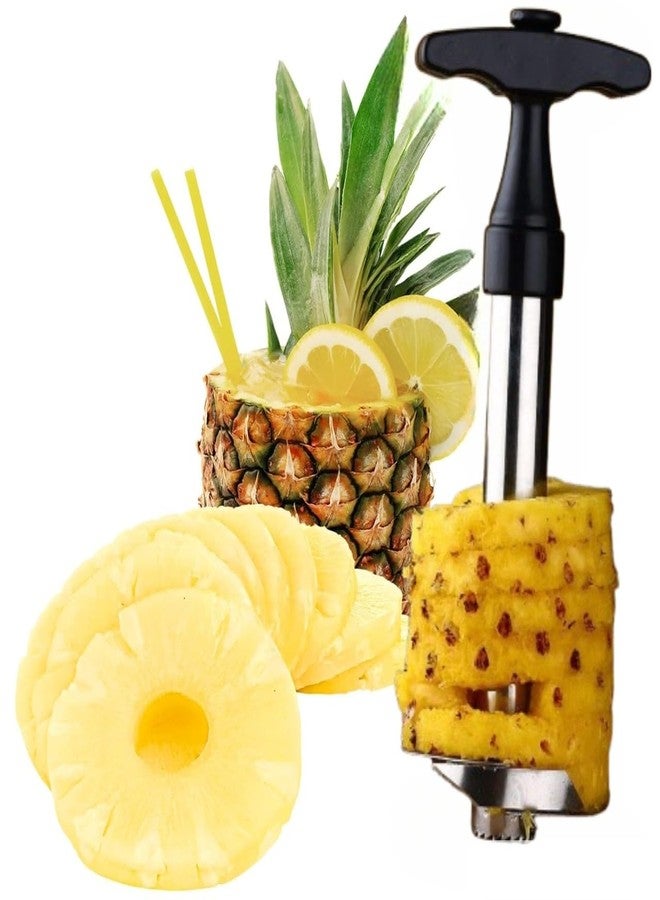 HELIMIX Stainless Steel Pineapple Slicer Cutter, Pineapple Seed Clip Eye Remover, Deseeding Gadget Corer and Slicer Tool Combo. - Image 2
